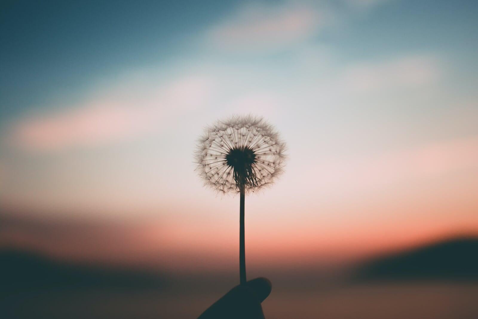 Dealing with Difficult Emotions, Part 3